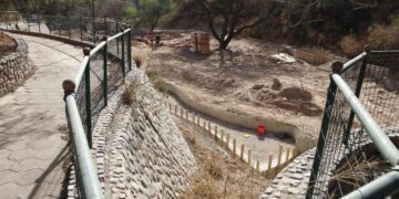 Avanza la construcción de un espacio para osos en el ex Zoo