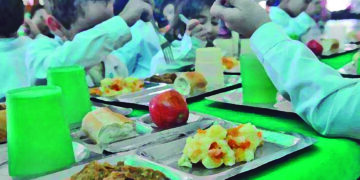 La triste historia del pollo