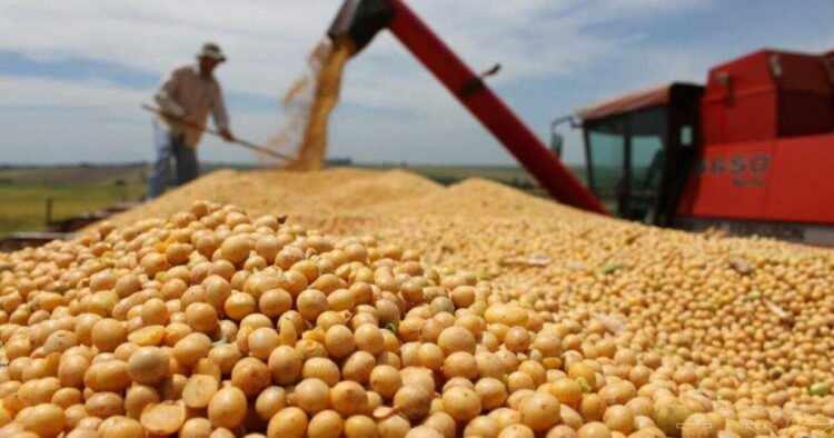 La Afip incautó más de 3 mil toneladas de granos en Córdoba por falta de documentación