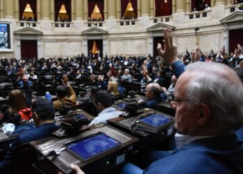Diputados votó por unanimidad un repudio al atentado contra la Vicepresidenta