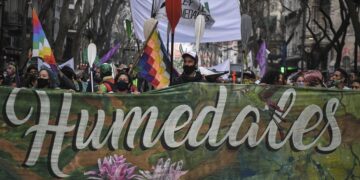 Avanza hoy la discusión en el Congreso por la Ley de Humedales