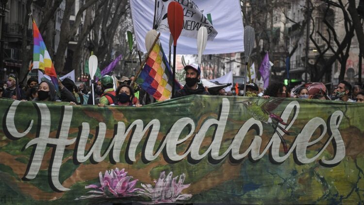 Avanza hoy la discusión en el Congreso por la Ley de Humedales