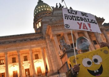 Tras la suspensión del debate por la Ley de Humedales, ambientalistas protestan en el Congreso