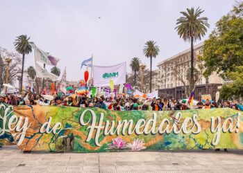 Ley de humedales: Diputados convocó a un plenario de comisiones