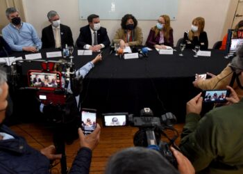 Vizzotti confirmó que la bacteria legionella causó el brote de neumonía bilateral