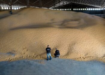 La Aduana detectó «cerealeras truchas» que no ingresaron divisas al país