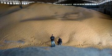 La Aduana detectó «cerealeras truchas» que no ingresaron divisas al país
