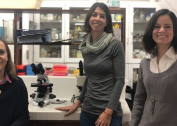 Fabrican un bioinsumo que busca eliminar el uso de agrotóxicos en la producción de yerba mate