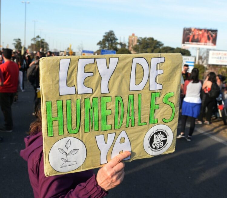 Vuelve a postergarse la discusión de la Ley de Humedales en el Congreso
