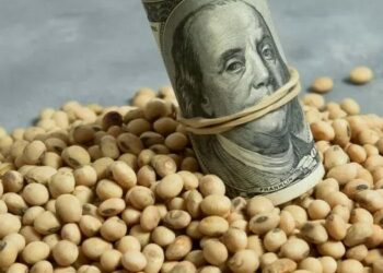 Se estableció cómo serán las últimas horas del “dólar soja”