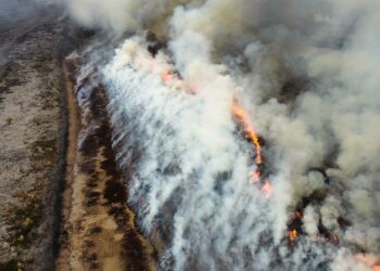 Desde la próxima semana reanudarán el debate sobre la ley de humedales en Diputados
