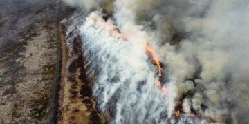 Desde la próxima semana reanudarán el debate sobre la ley de humedales en Diputados