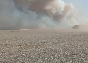 Bomberos combaten incendios en Huerta Grande y Altos Fierros