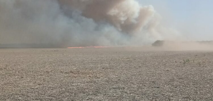 Detuvieron a tres hombres acusados de provocar incendios forestales en la provincia