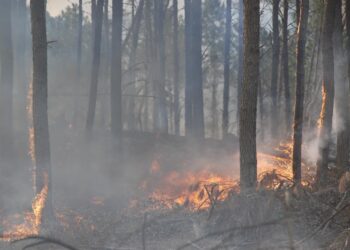 Anticipan que el nivel de riesgo de incendio forestal será extremo en los próximos días