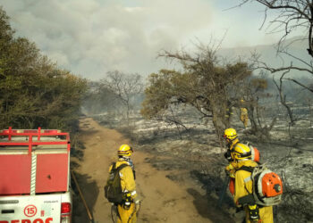 No quedan focos activos y bomberos mantienen guardia de cenizas