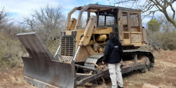Policía Ambiental frenó un desmonte ilegal en Los Medanitos