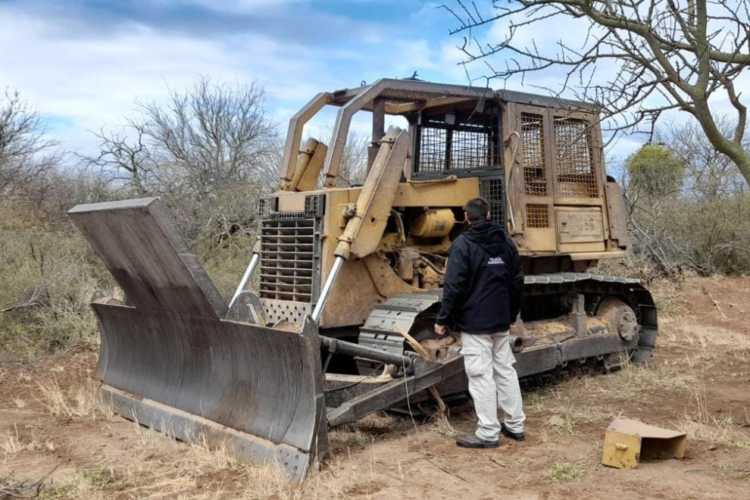 Policía Ambiental frenó un desmonte ilegal en Los Medanitos