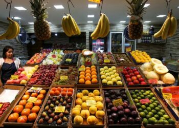 Los consumidores pagaron seis veces más de lo que cobraron los productores agropecuarios