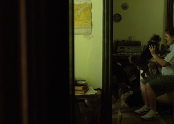 Actividades culturales para disfrutar en la semana