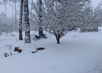 La nieve copó las sierras de Córdoba y por prevención cerraron el Camino del Cuadrado