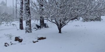 La nieve copó las sierras de Córdoba y por prevención cerraron el Camino del Cuadrado