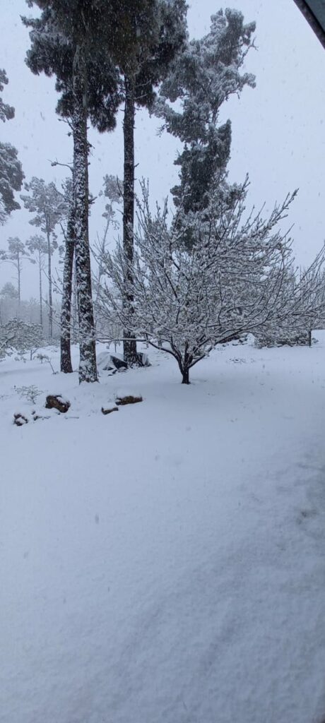 La nieve copó las sierras de Córdoba y por prevención cerraron el Camino del Cuadrado