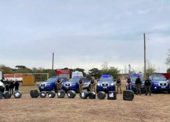 Incautan neumáticos que intentaban ingresar ilegalmente a Córdoba