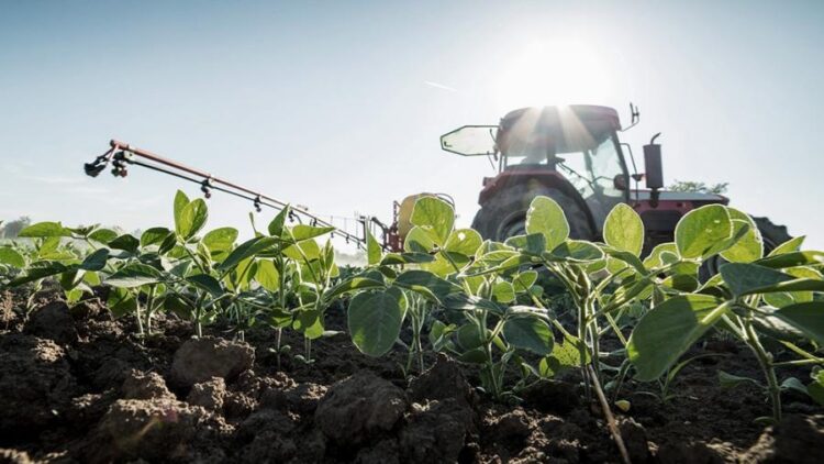 Tras dos semanas de vigencia del "dólar soja", agroexportadores ingresaron US$ 3.564 millones