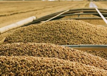 Bolsas de Comercio y Cereales solicitaron derogar la medida de financiamiento para productores