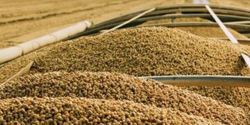 Bolsas de Comercio y Cereales solicitaron derogar la medida de financiamiento para productores