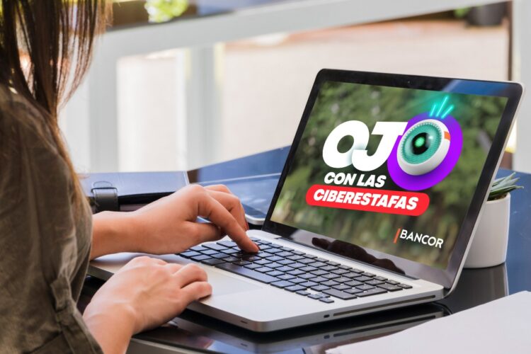 Alertan sobre la proliferación de sitios web bancarios falsos