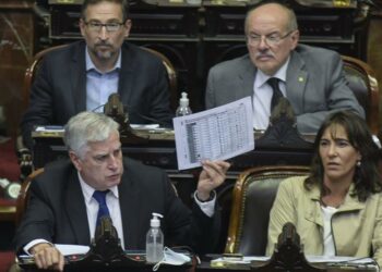 Buscan modificar el esquema de envío de fondos de Anses a la Caja