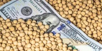 La Sociedad Rural cuestionó la medida del dólar soja y reconoció que habrá más liquidación de divisas