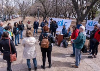 Docentes universitarios reclamaron aumentos