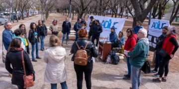 Docentes universitarios reclamaron aumentos