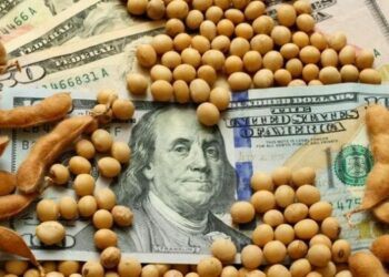 La Comisión de Enlace de Córdoba sostuvo que el “dólar soja” es un disfraz