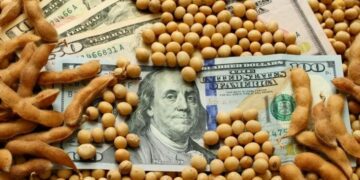 La Comisión de Enlace de Córdoba sostuvo que el “dólar soja” es un disfraz