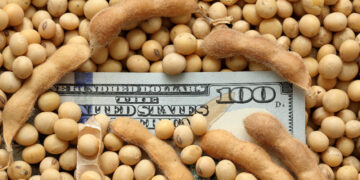 «Dólar soja»: para la Mesa de Enlace local «es un nuevo relato»