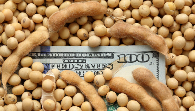 El “dólar agro” cierra con más de US$ 5.000 millones sumados