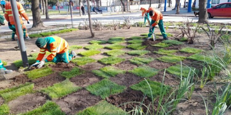 Recuperaron 766 espacios verdes en nuestra ciudad