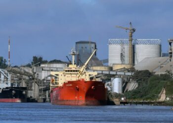 Agroexportadores dicen que ya liquidaron los US$ 1.000 millones iniciales prometidos a Massa