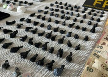 Dos hermanos fueron detenidos con más de medio millar de dosis de cocaína