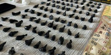 Dos hermanos fueron detenidos con más de medio millar de dosis de cocaína