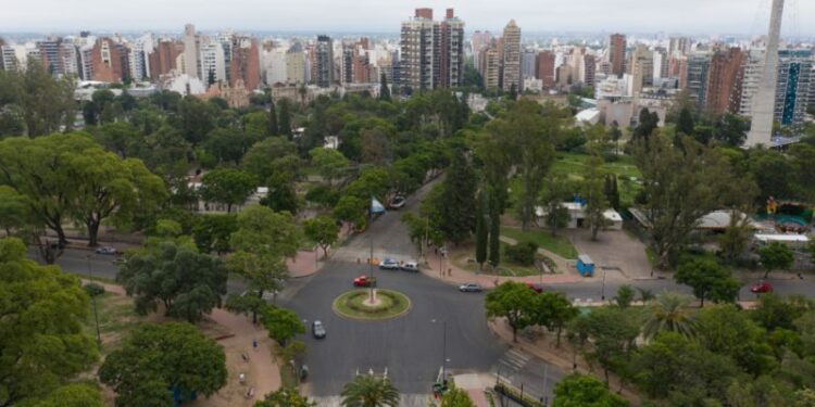 La importancia de los árboles para reducir las olas de calor en las ciudades