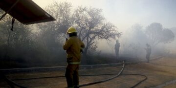 Más de 250 efectivos luchan contra un voraz incendio iniciado en Panaholma