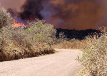 Bomberos siguen luchando para frenar el avance de cuatro focos ígneos