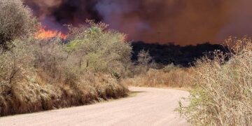 Bomberos siguen luchando para frenar el avance de cuatro focos ígneos