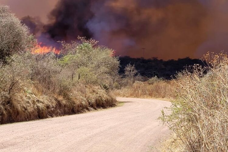 Bomberos siguen luchando para frenar el avance de cuatro focos ígneos