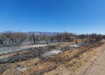 Contuvieron con éxito el incendio en Traslasierras: no quedan focos activos en la provincia